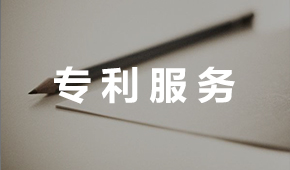 專(zhuān)利服務(wù)
